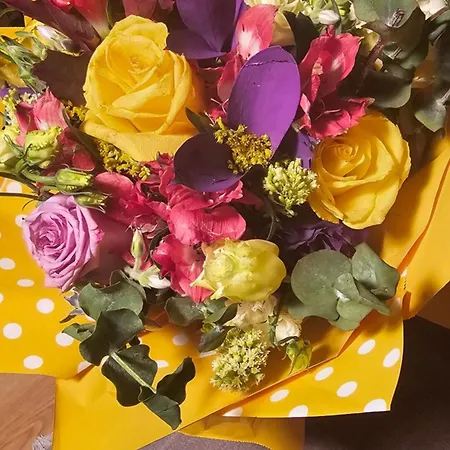 דירה Sa Parkingom