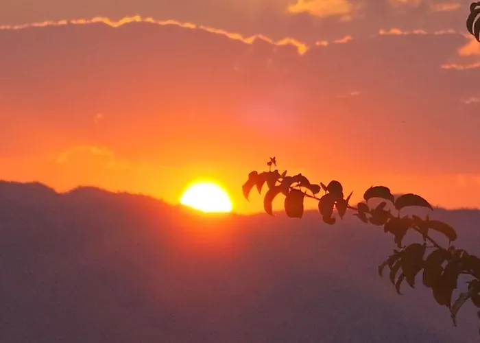 Sa Parkingom * Trebin